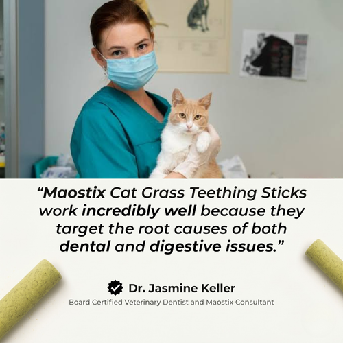 Cat Grass Teething Sticks [Free Today]